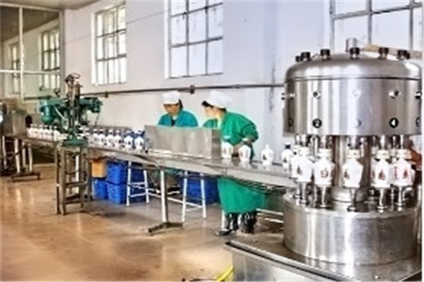 全自動胡蘿卜汁飲料生產設備-小型果蔬飲料生產線